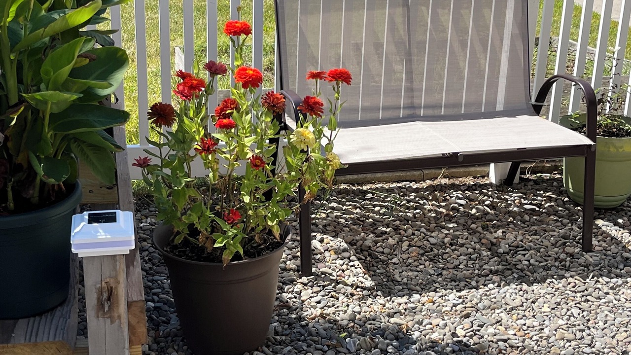 Photo of Patio Balcony in North End