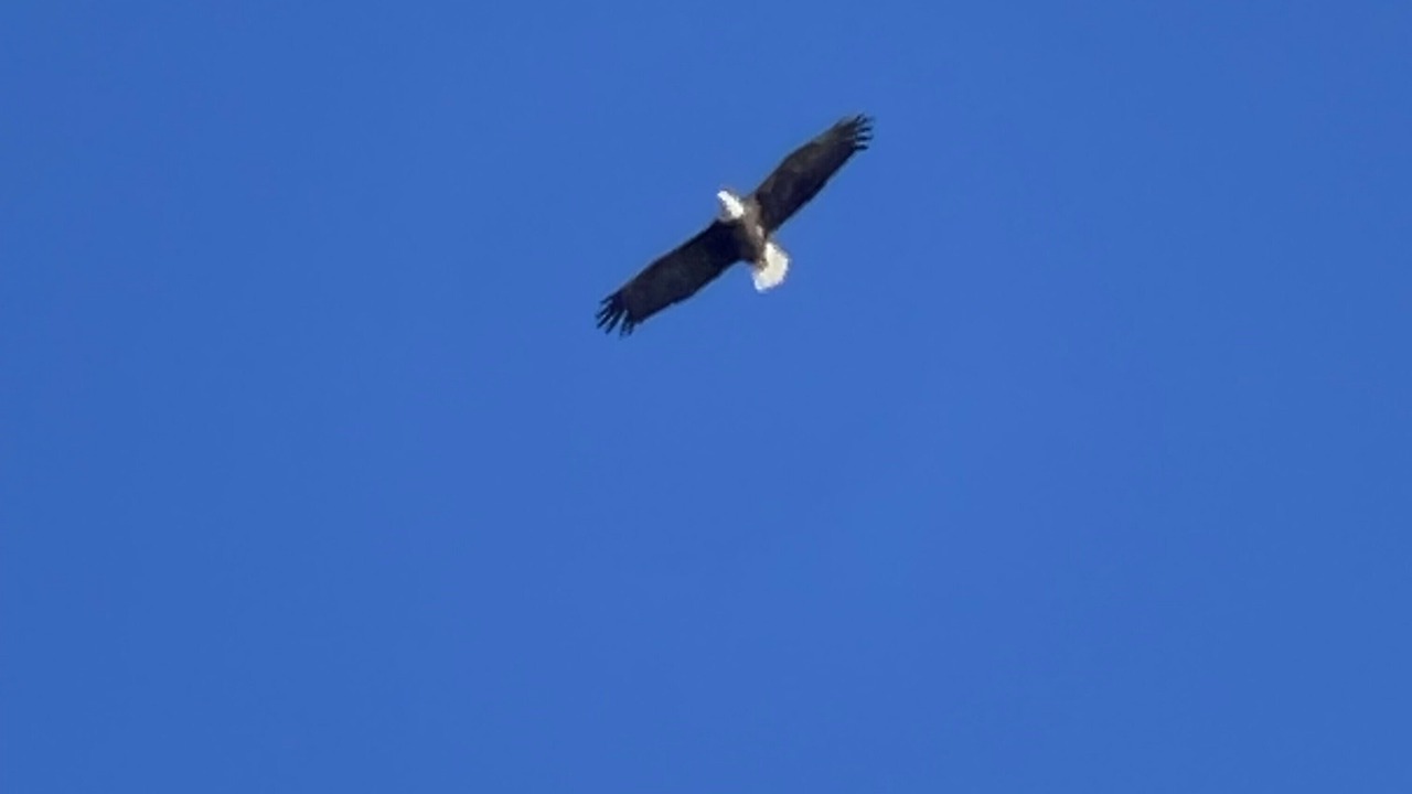 Photo of Others in Perryville