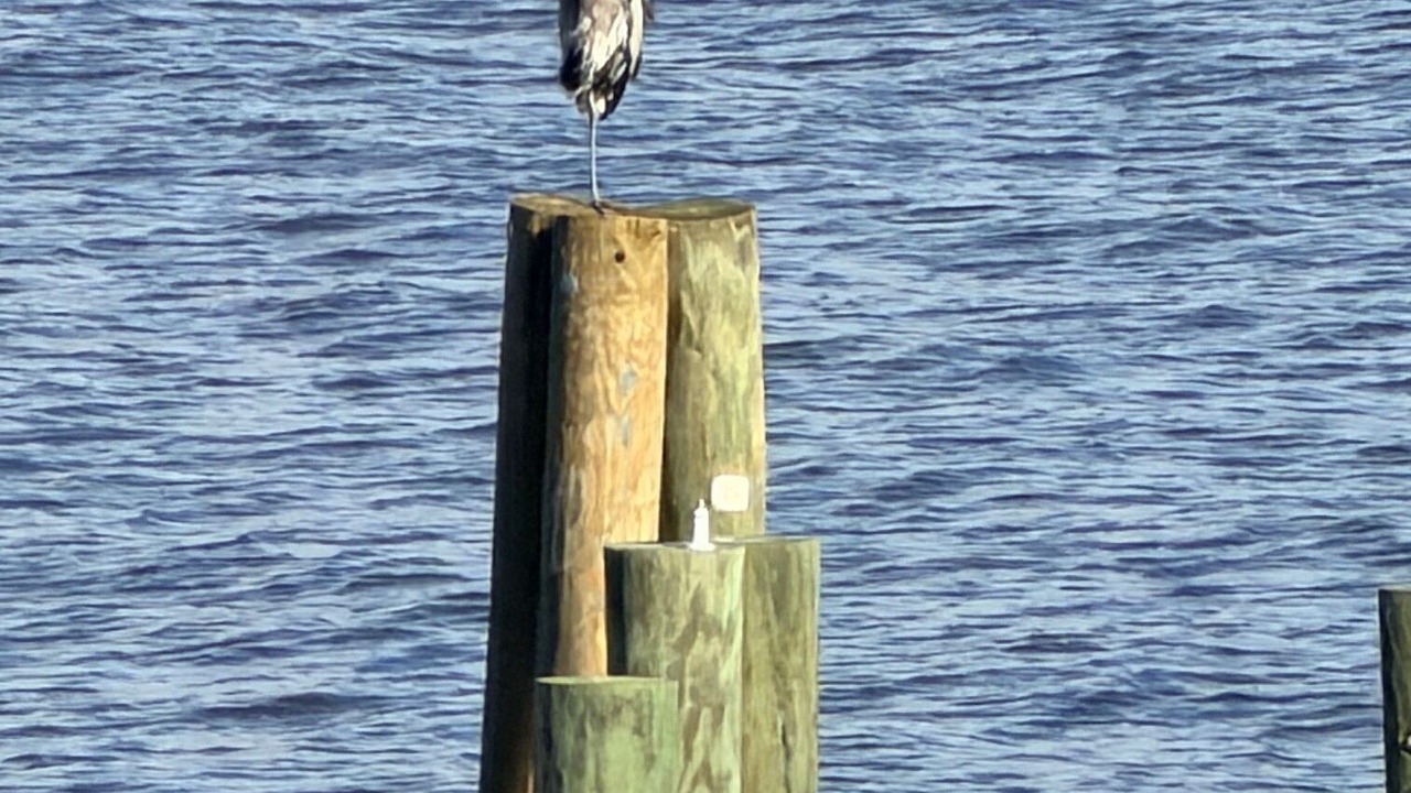 Photo of Others in Perryville
