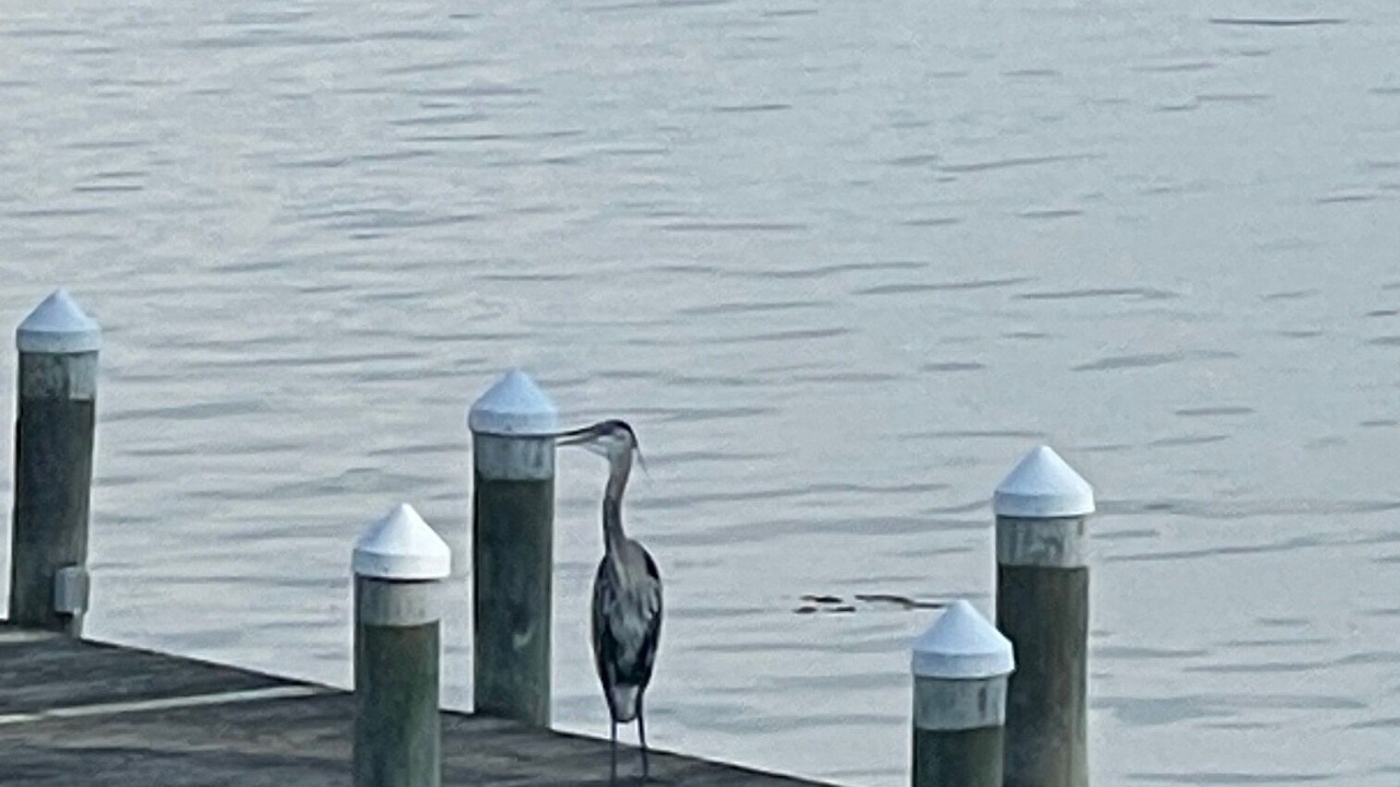 Photo of Others in Perryville