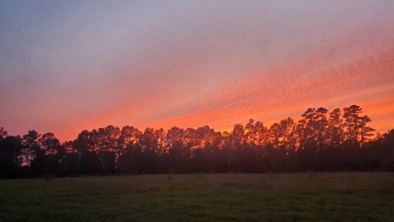 Photo of Outdoor in Rocky Point