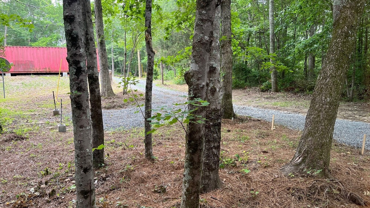 Photo of Outdoor in Rising Fawn