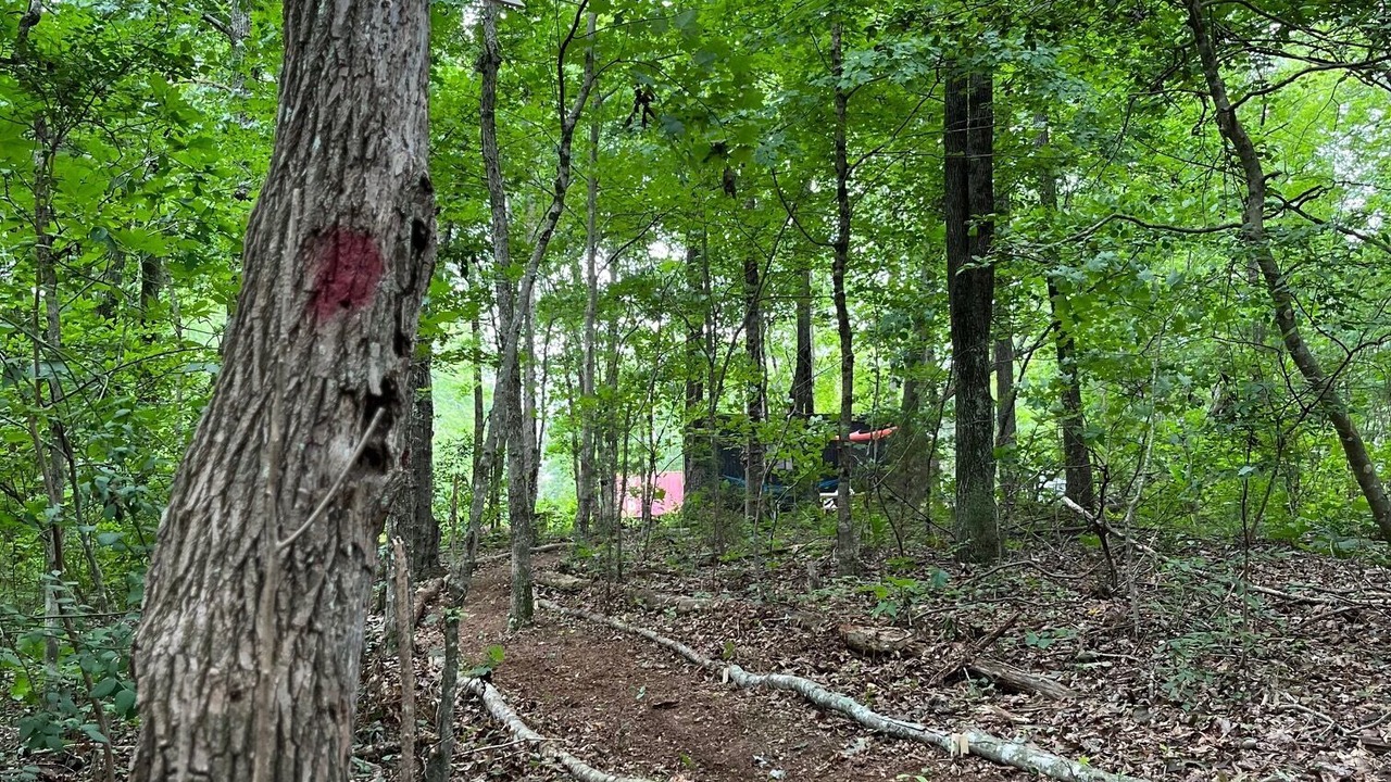 Photo of Others in Rising Fawn