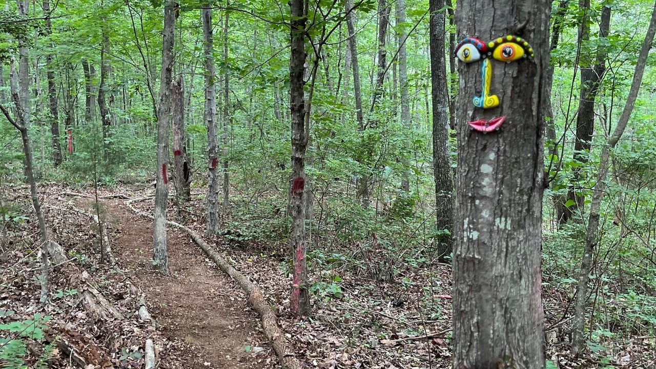 Photo of Outdoor in Rising Fawn