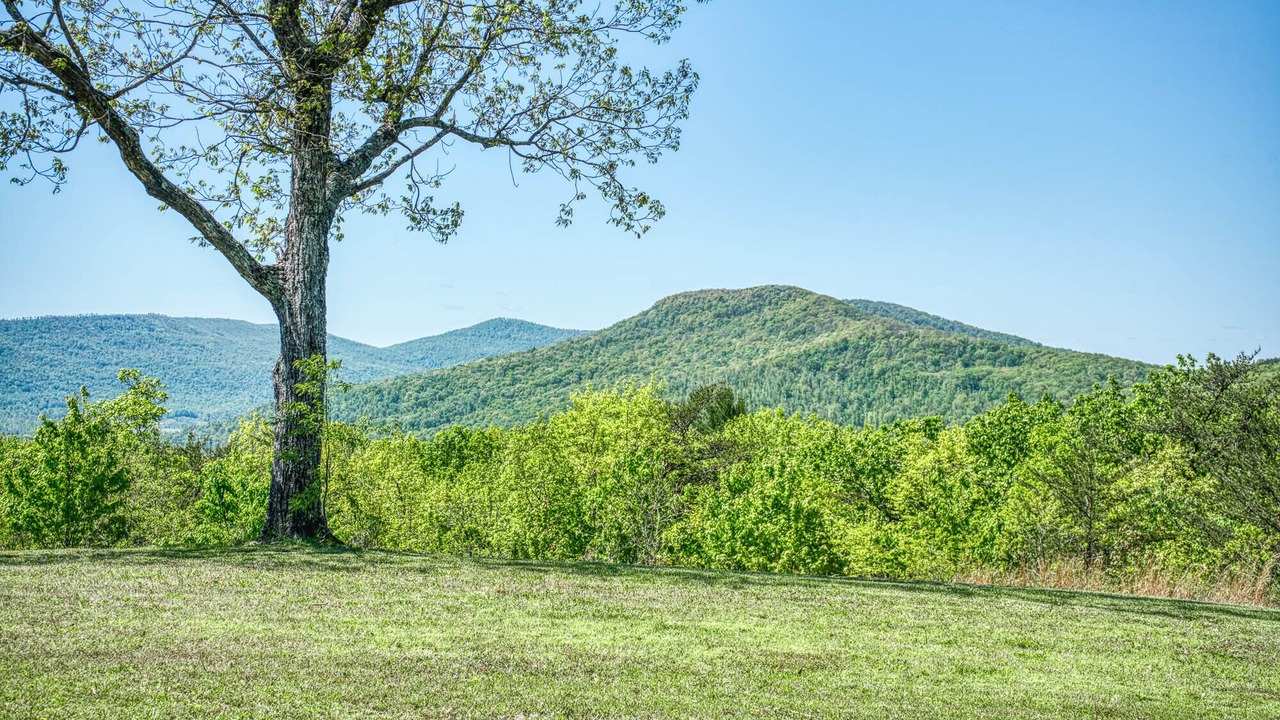 Photo of Outdoor in Ozone