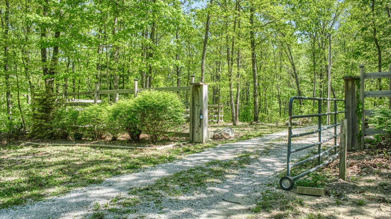 Photo of Outdoor in Ozone