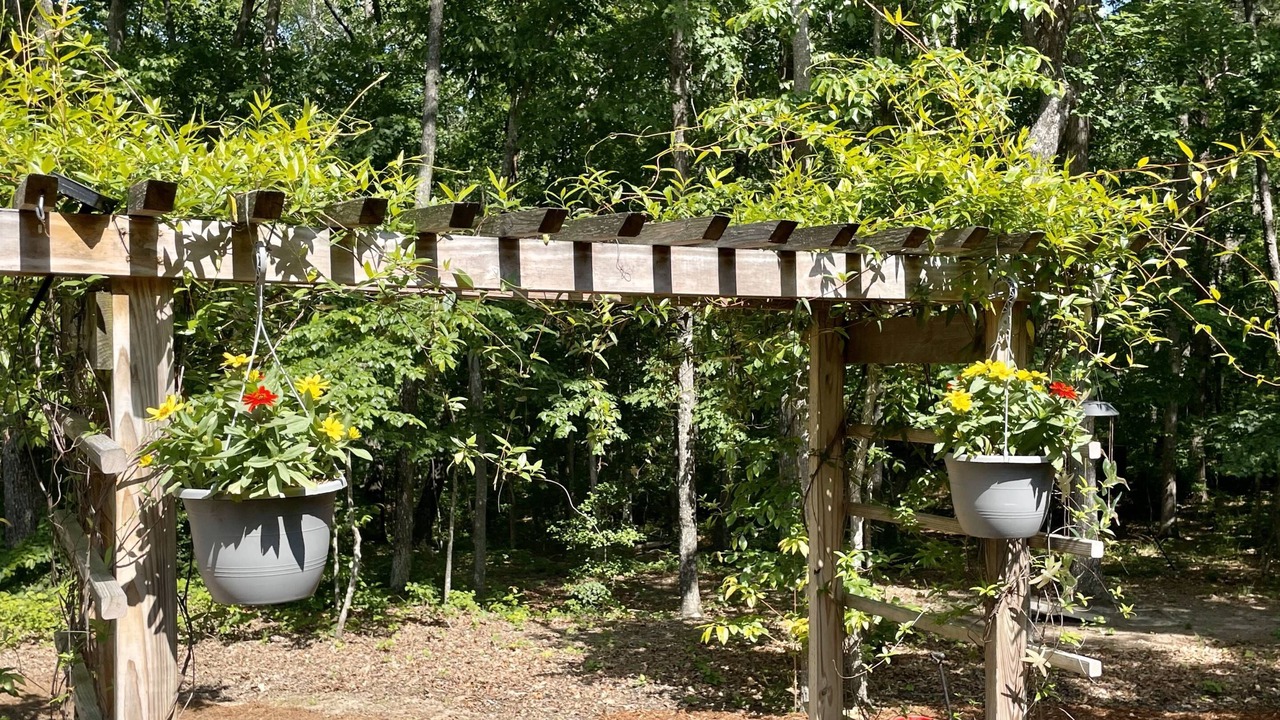 Photo of Outdoor in Rising Fawn