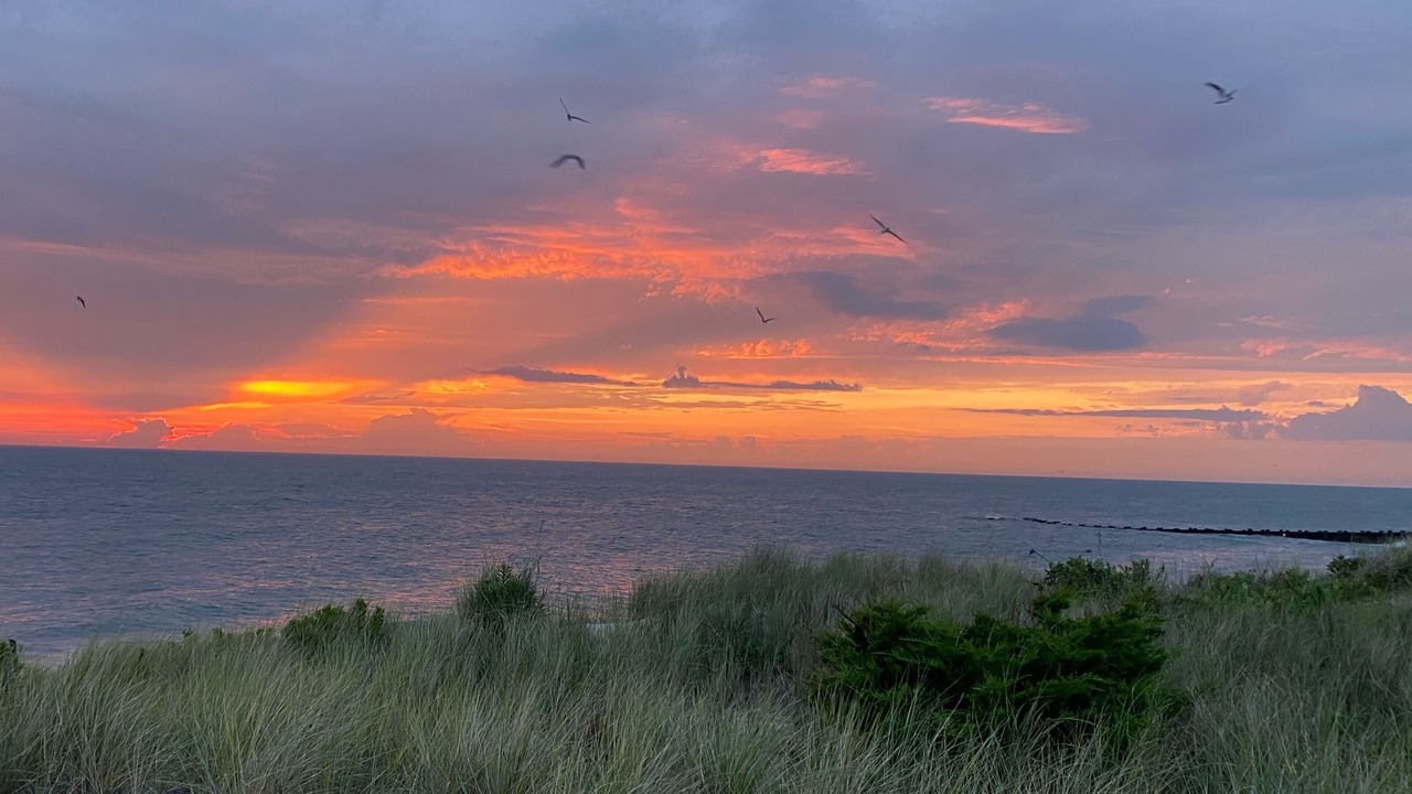 Photo of Others in North Cape May