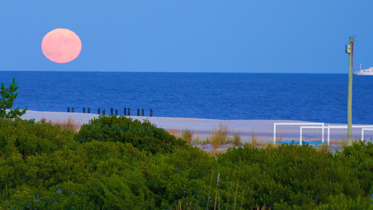 Photo of Others in Cape May