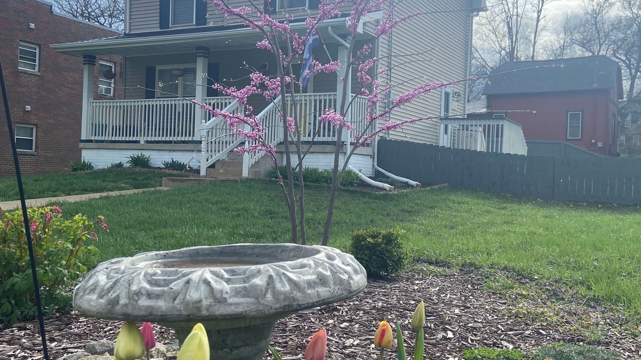 Photo of Outdoor in Des Moines