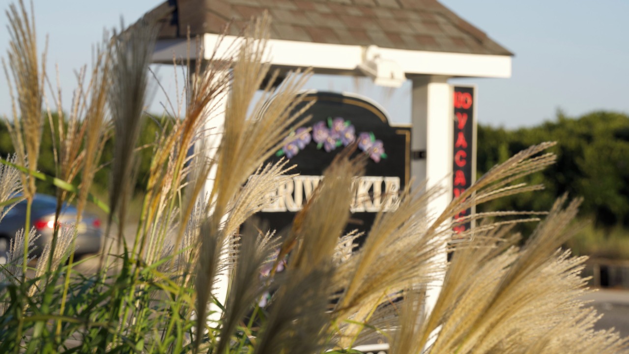Photo of Outdoor in Cape May