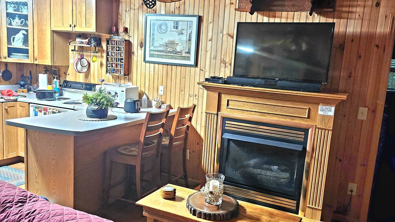 Photo of Livingroom in Mountain City