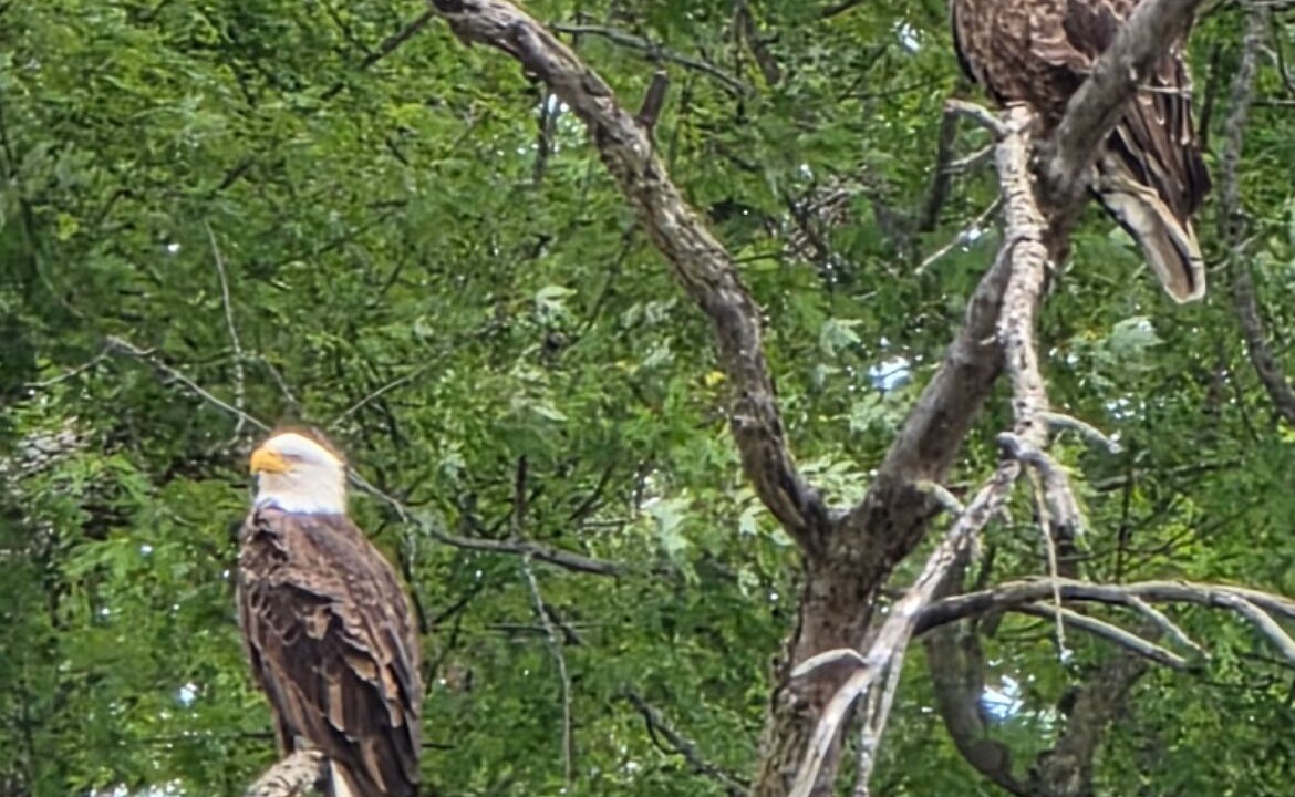 Photo of Others in Edgerton