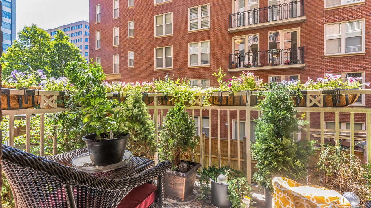 Photo of Outdoor in Bethesda