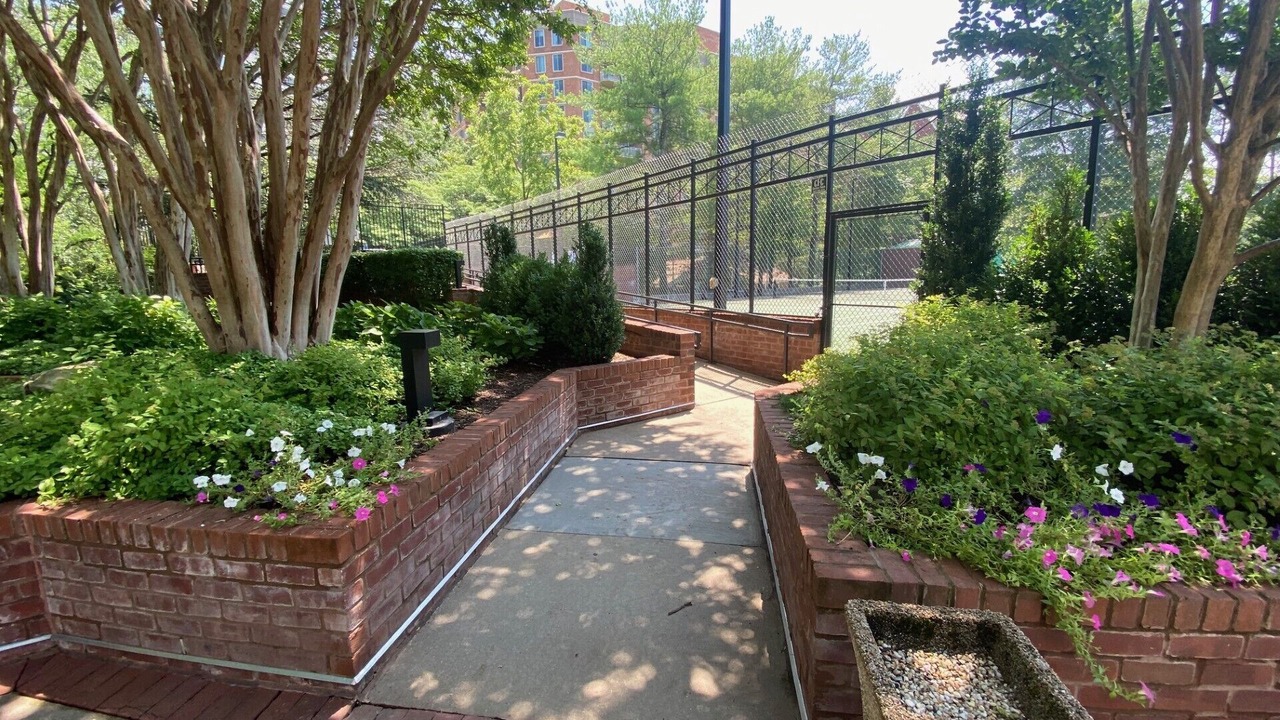 Photo of Outdoor in Bethesda