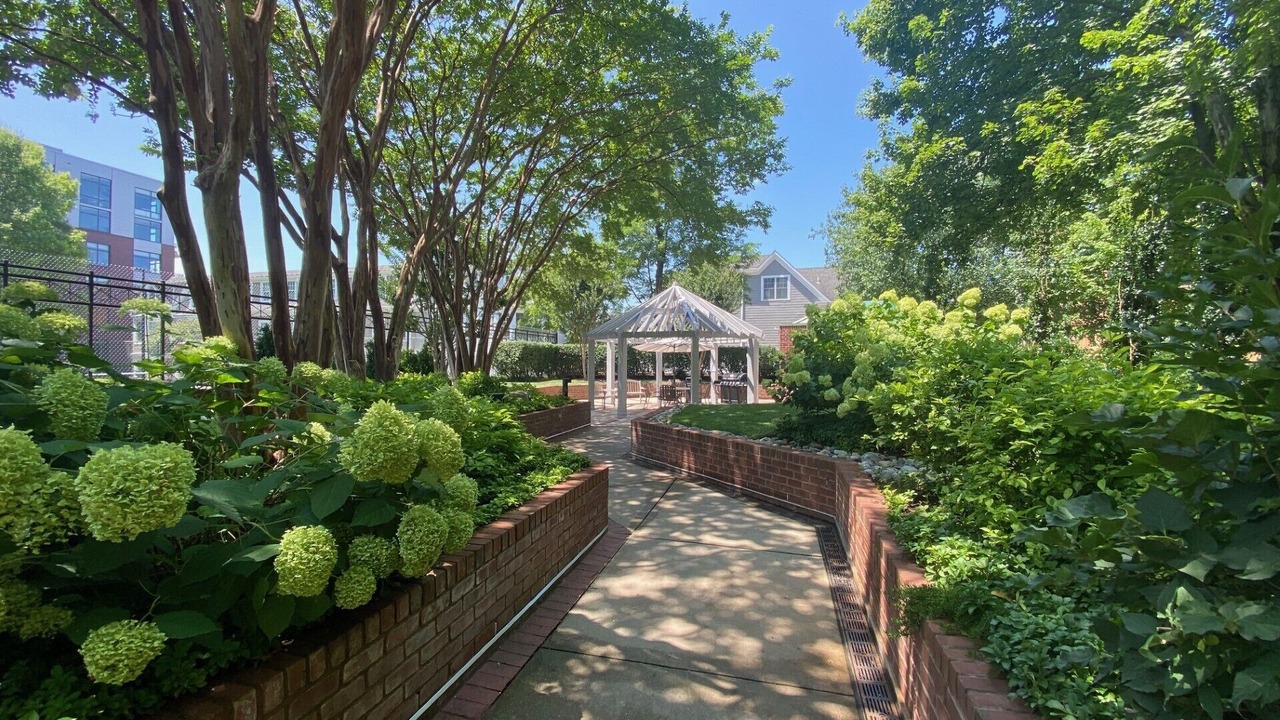 Photo of Outdoor in Bethesda