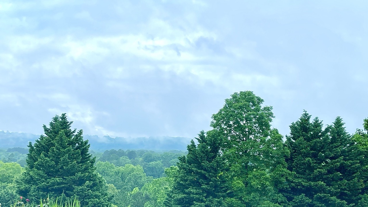 Photo of Others in Graysville