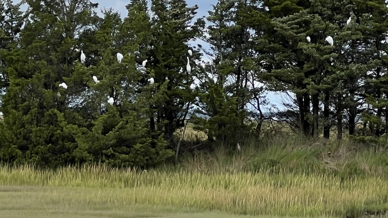 Photo of Others in Green Creek