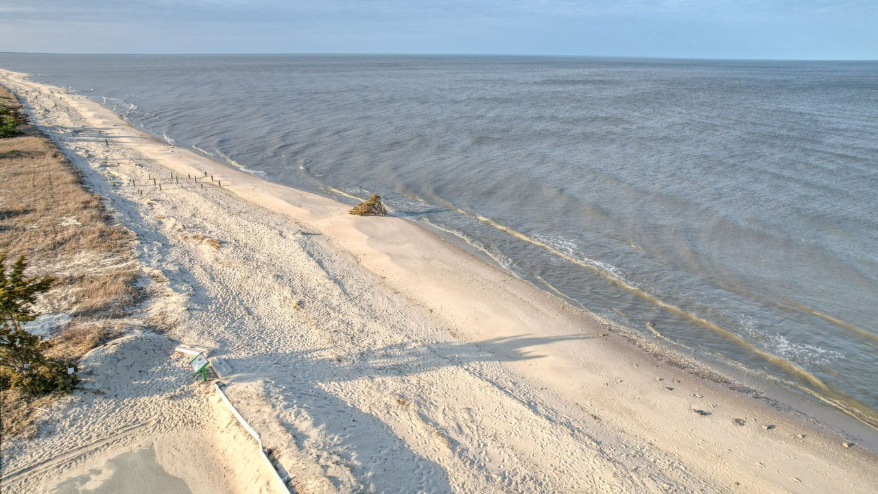 Photo of Others in Milford