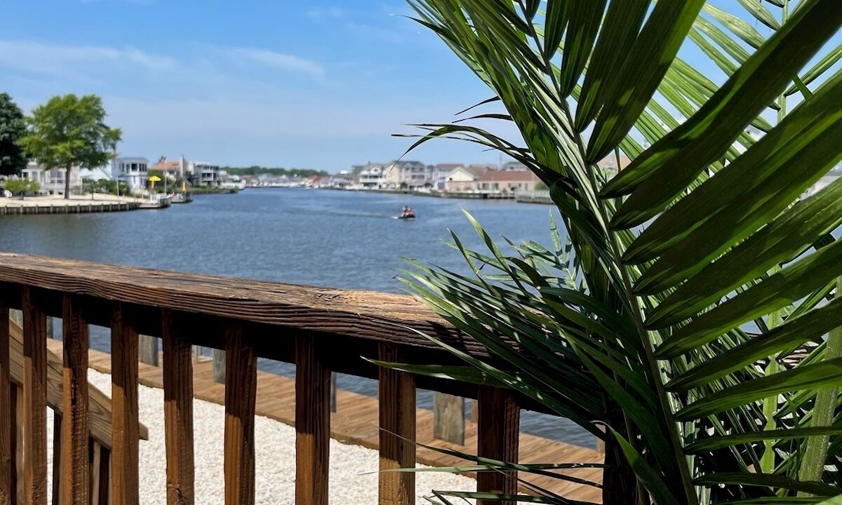 Photo of Outdoor in Beach Haven West