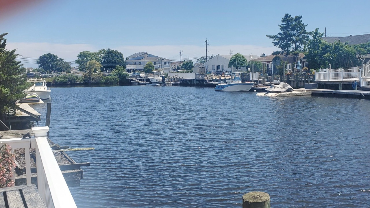 Photo of Others in Mystic Island