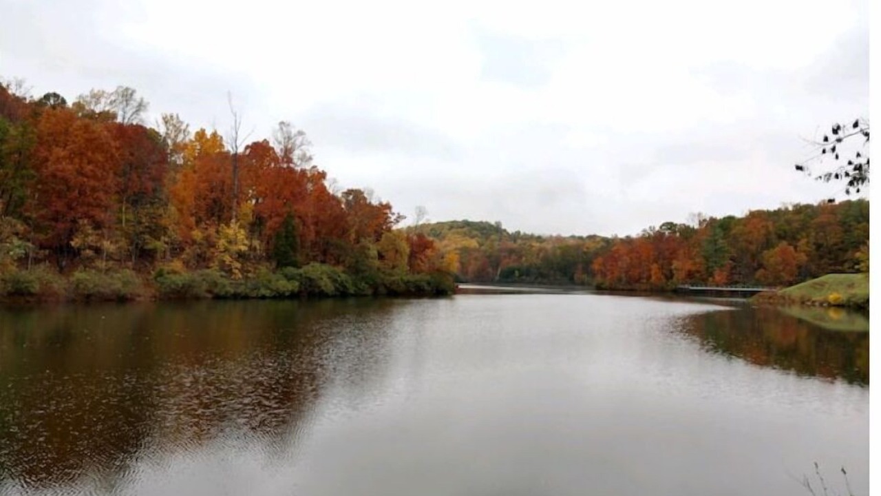 Photo of Outdoor in Madison