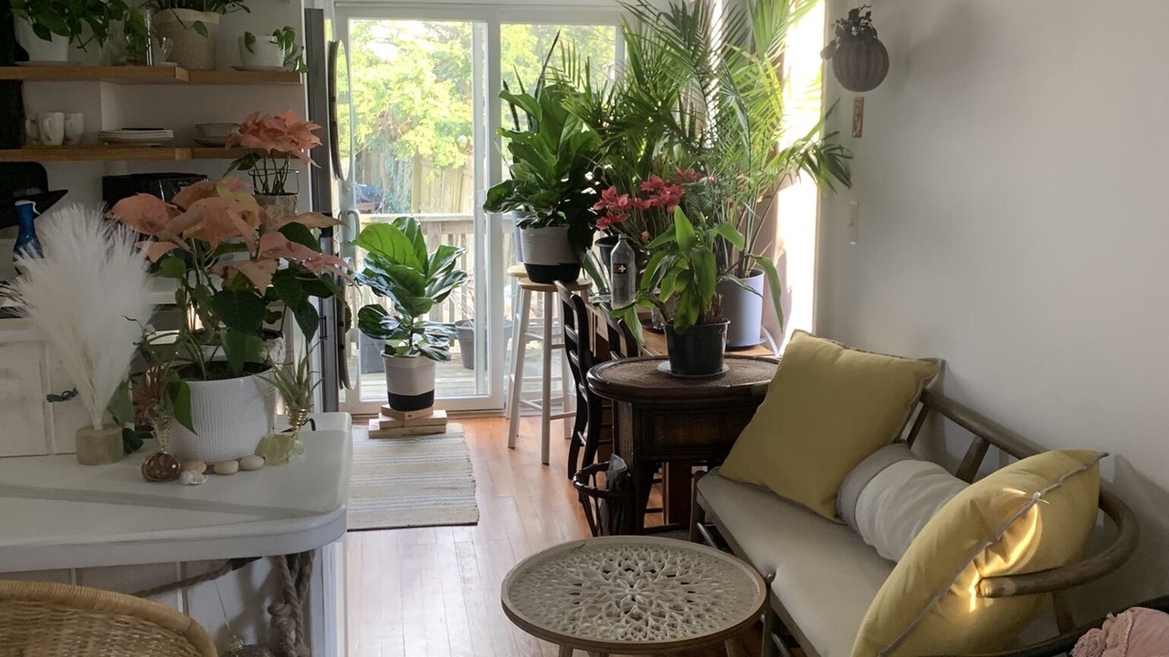Photo of Livingroom in Spring Lake Heights