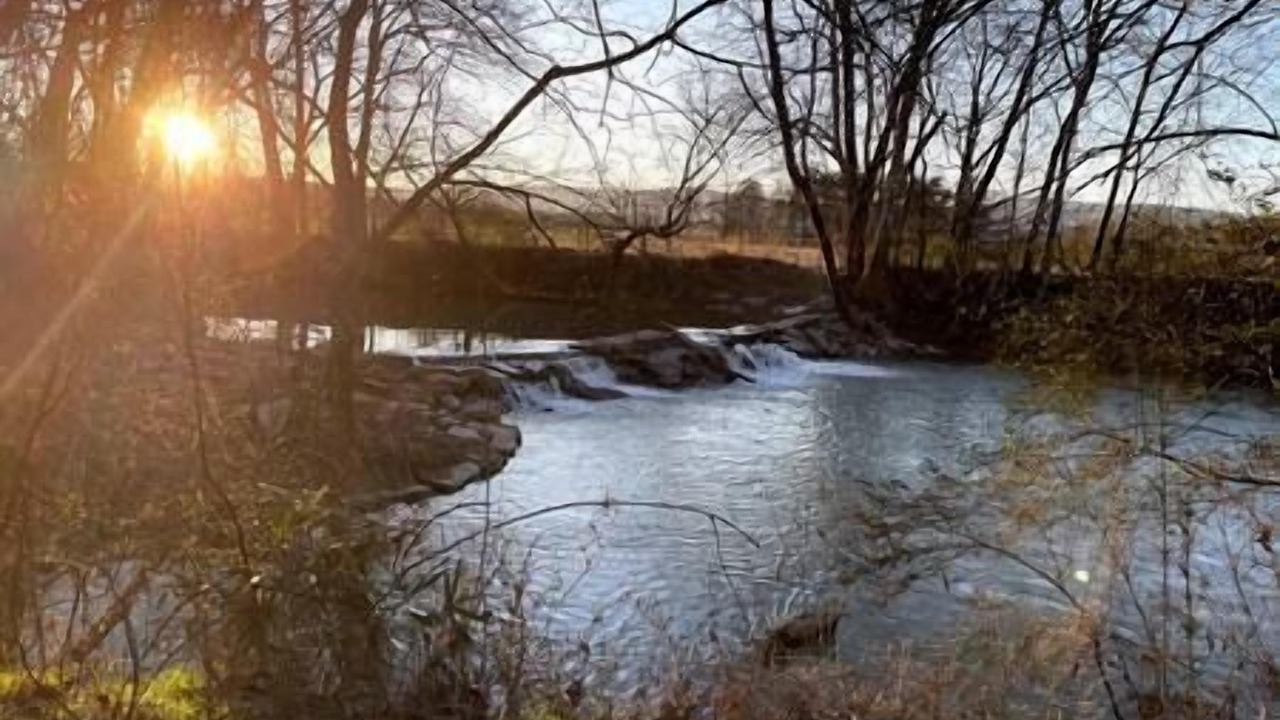 Photo of Others in Chickamauga