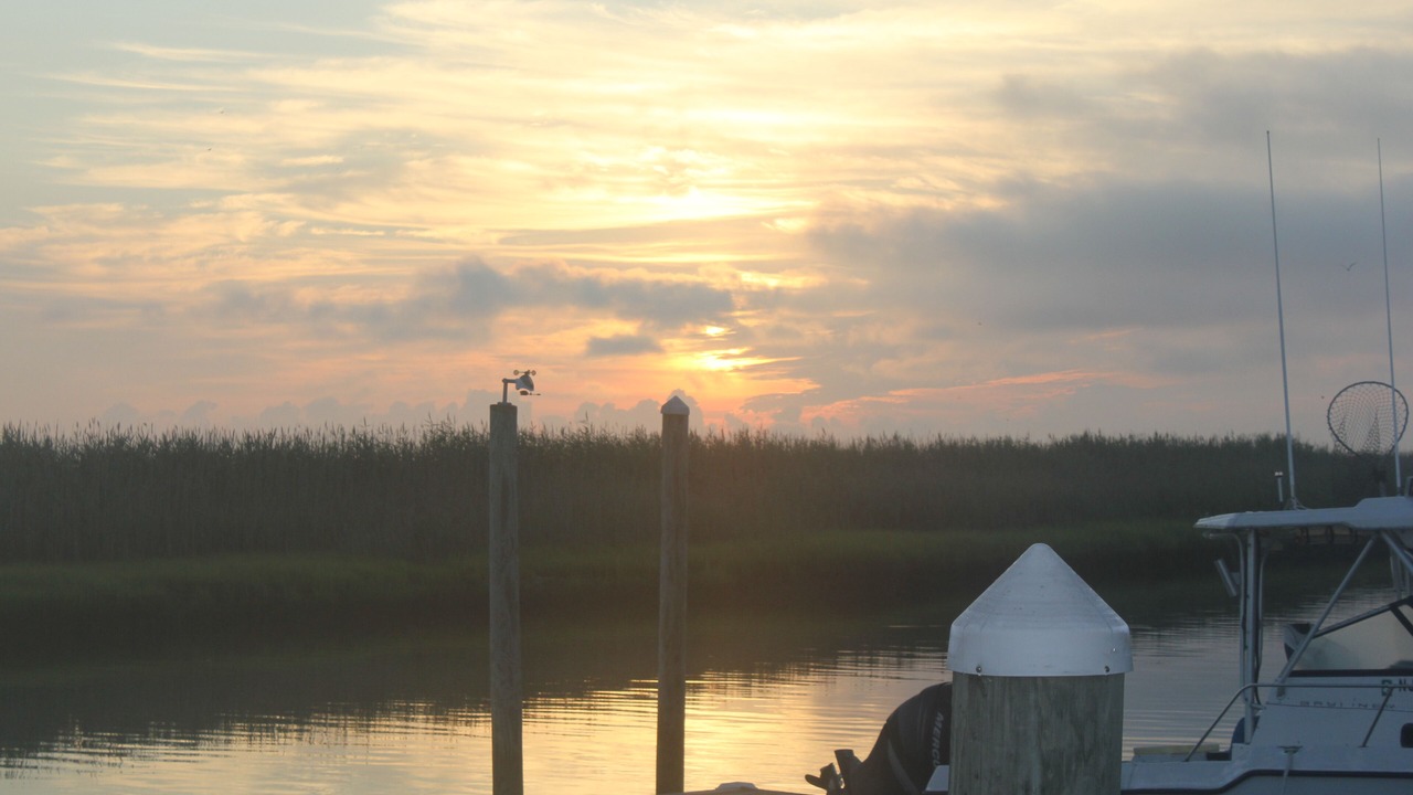 Photo of Others in Leeds Point