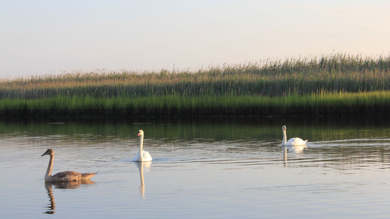 Photo of Outdoor in Leeds Point