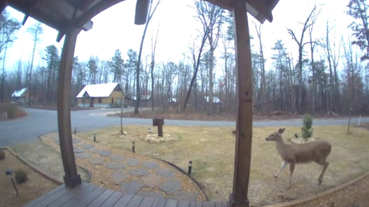 Photo of Outdoor in Rising Fawn