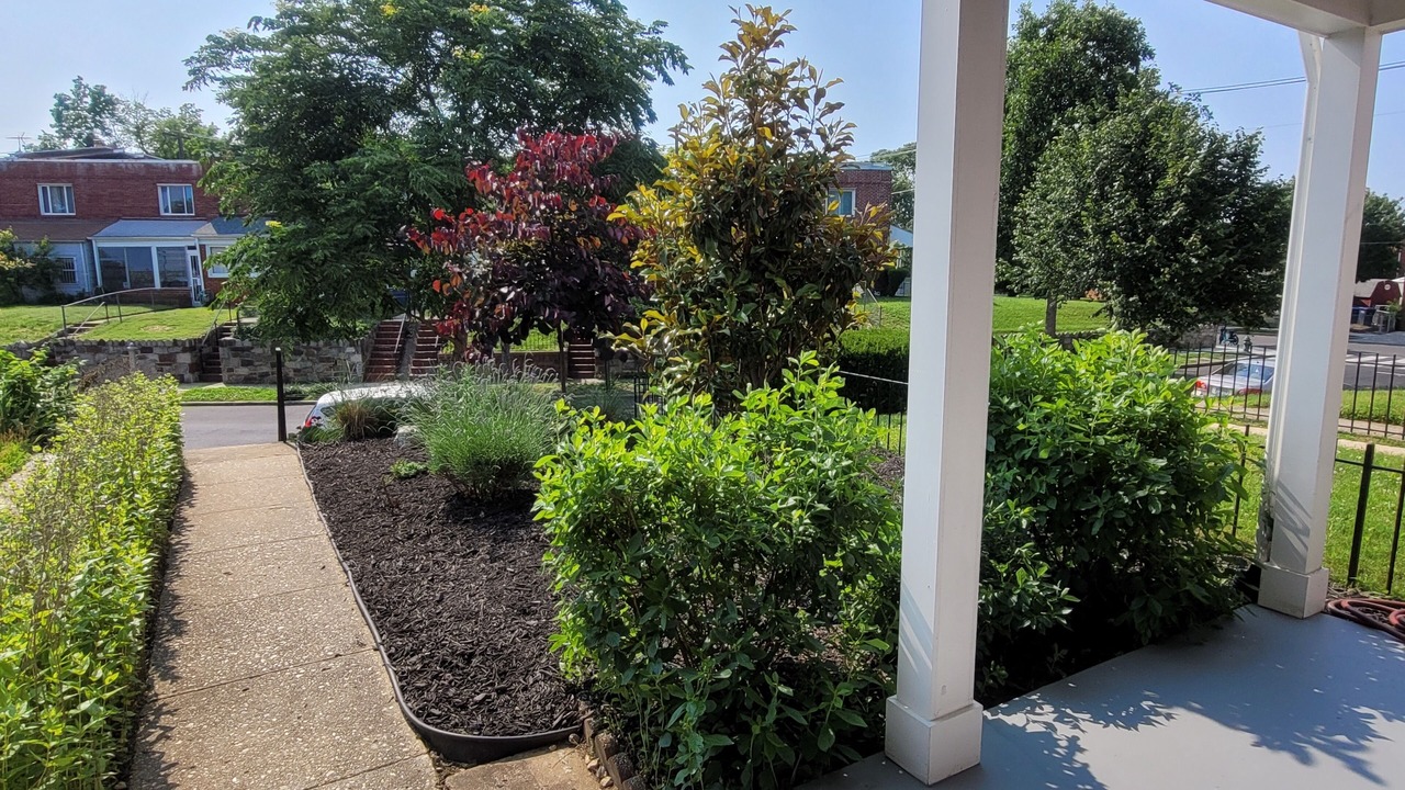 Photo of Outdoor in Northeast