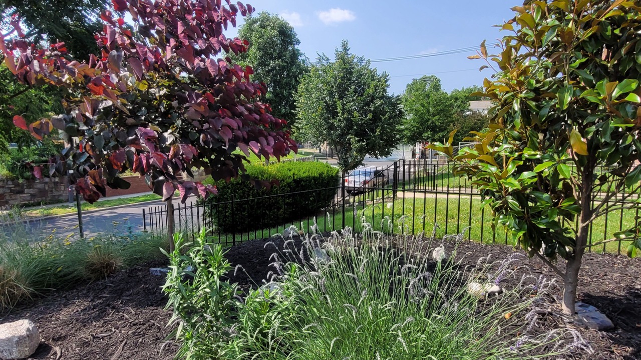 Photo of Outdoor in Northeast