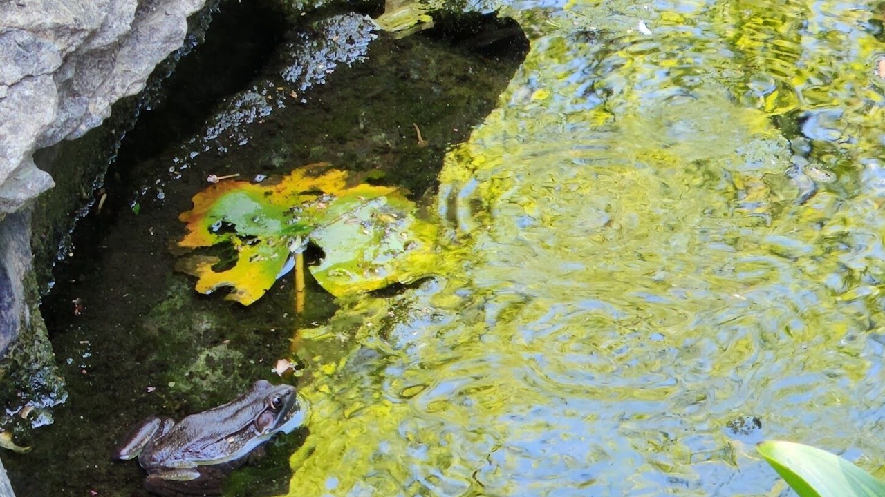 Photo of Others in Huntsville