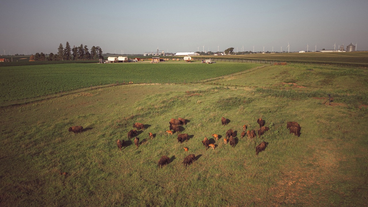 Photo of Others in Poweshiek County