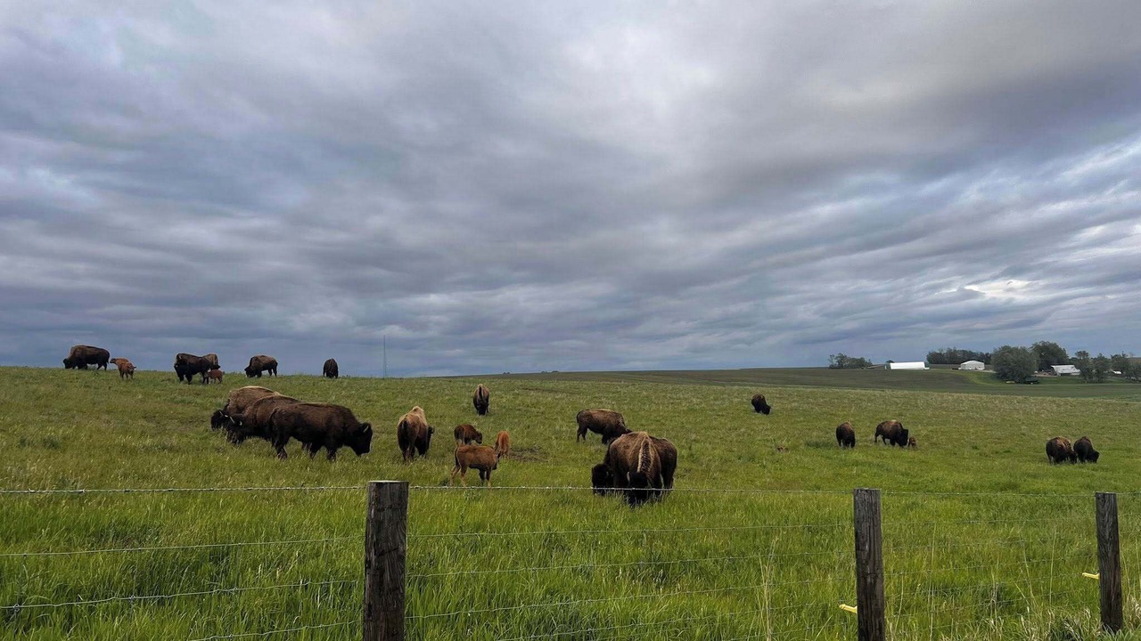 Photo of Others in Poweshiek County