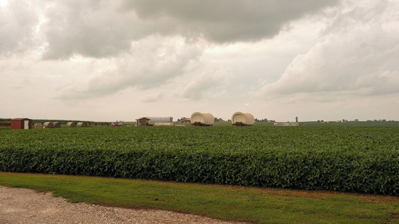 Photo of Others in Poweshiek County