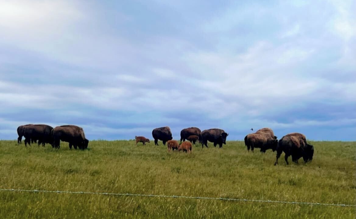 Photo of Others in Poweshiek County