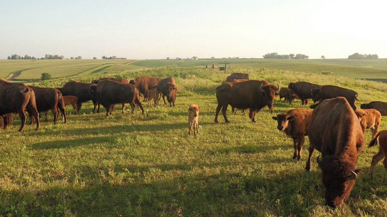 Photo of Others in Poweshiek County