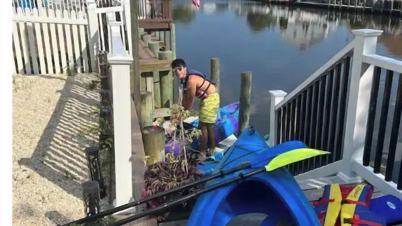 Photo of Outdoor in Beach Haven West
