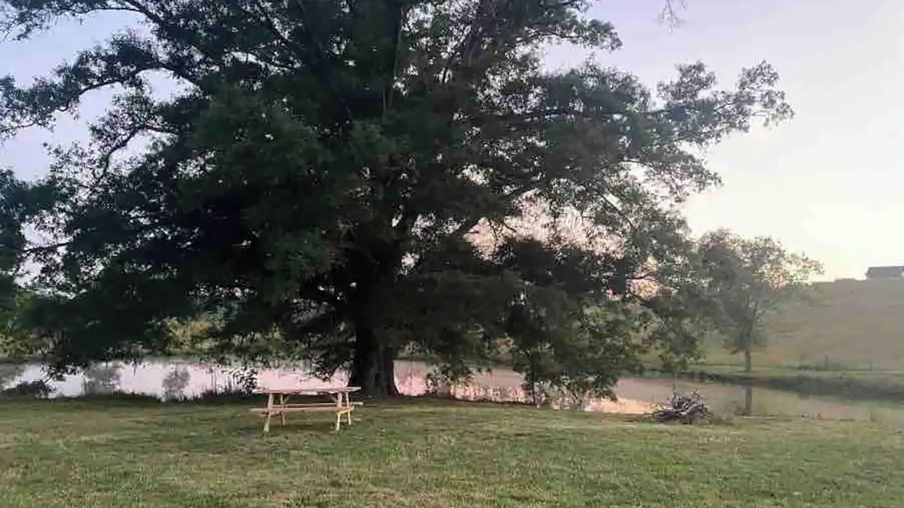 Photo of Outdoor in Trion