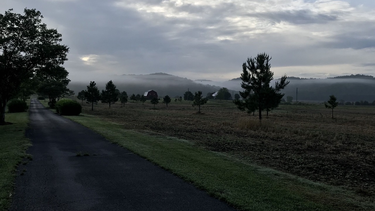 Photo of Outdoor in Guntersville