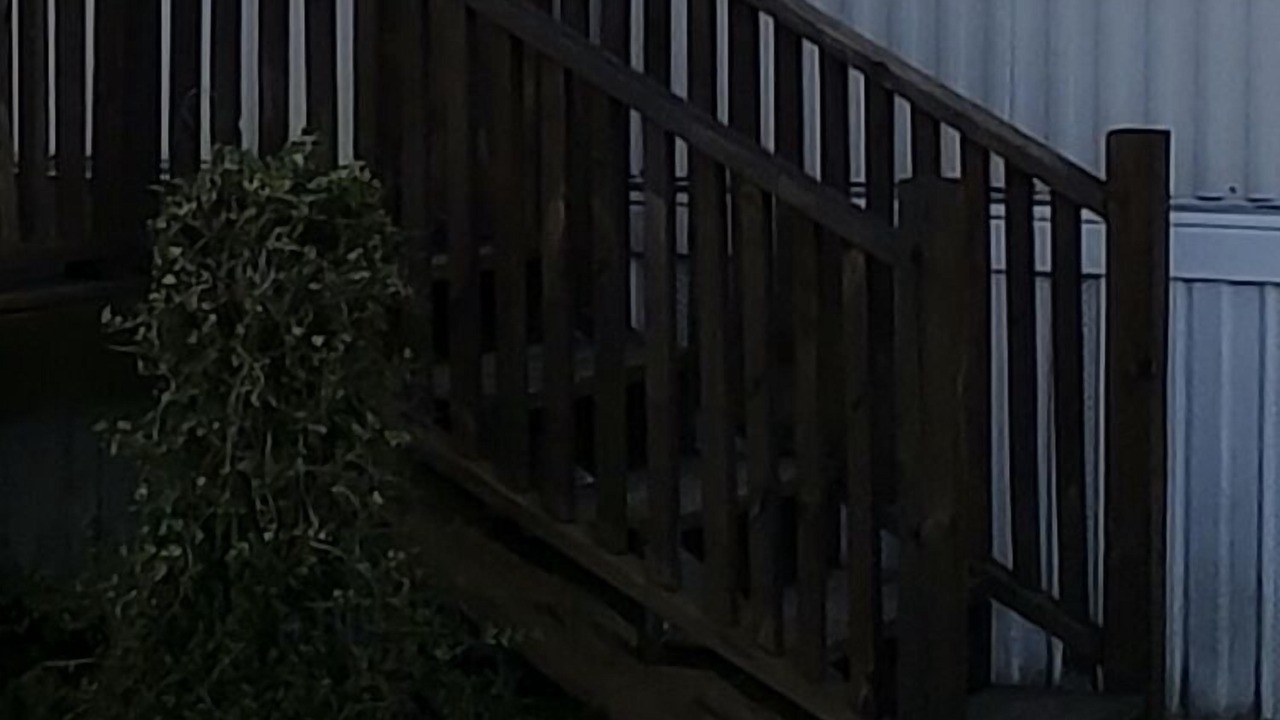 Photo of Others in Horton