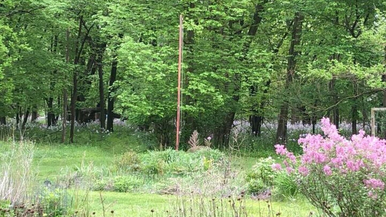 Photo of Outdoor in Iowa Falls
