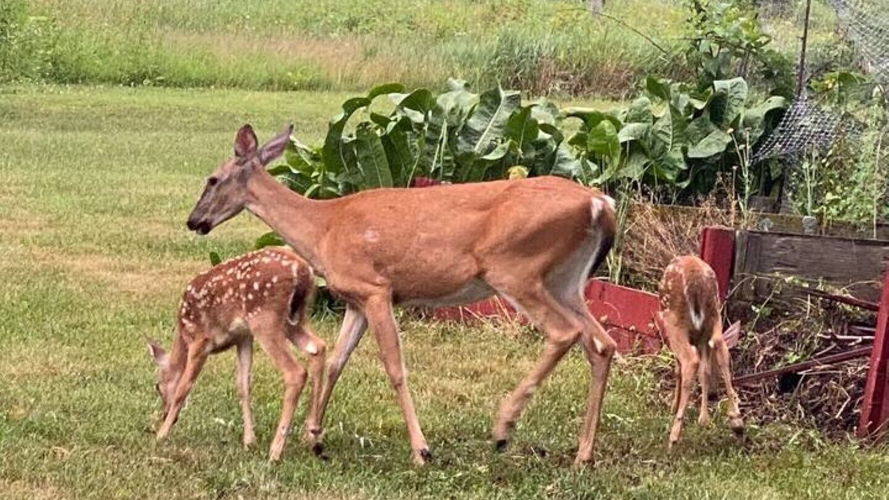 Photo of Others in Iowa Falls
