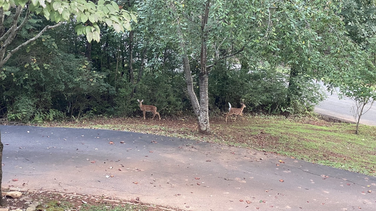 Photo of Outdoor in Newport