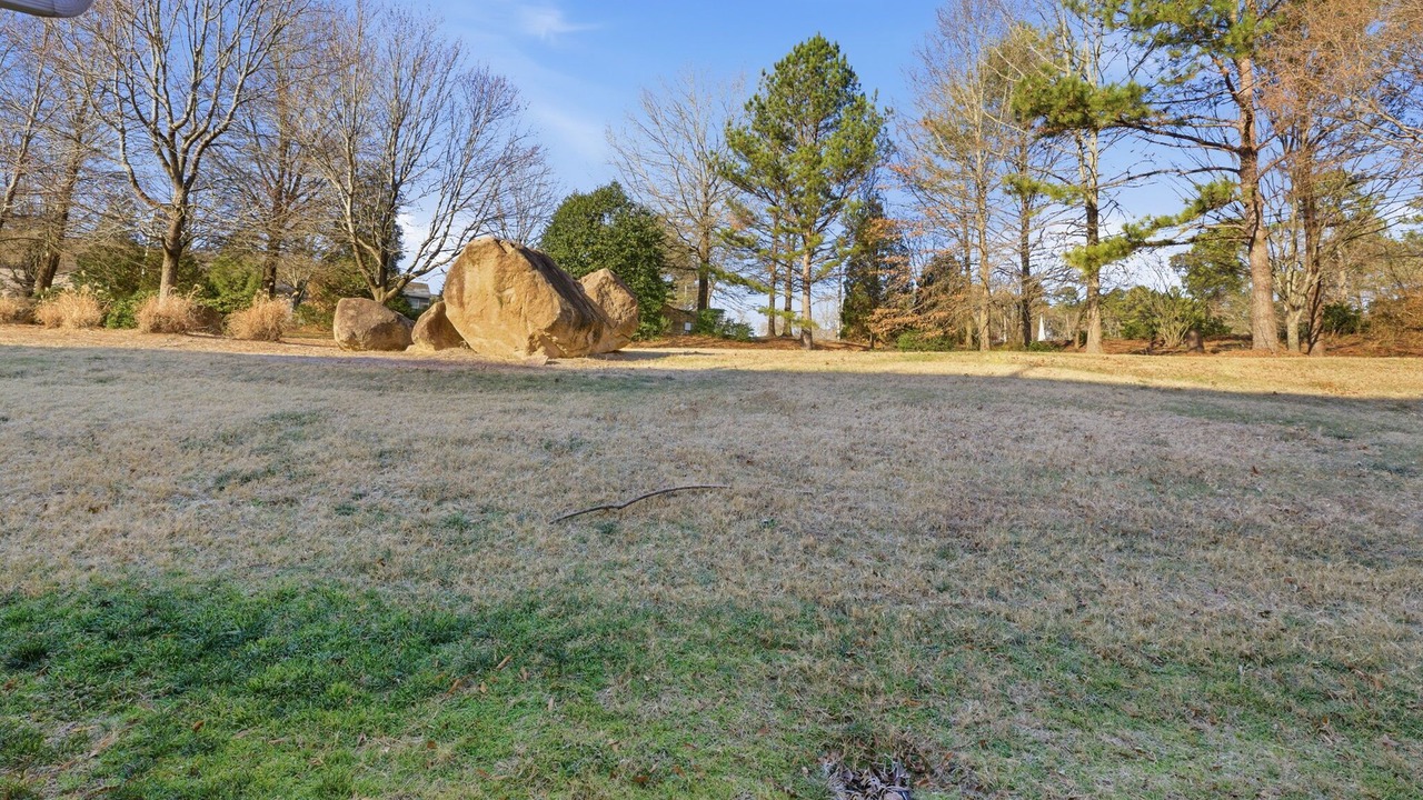 Photo of Outdoor in Northeast Raleigh