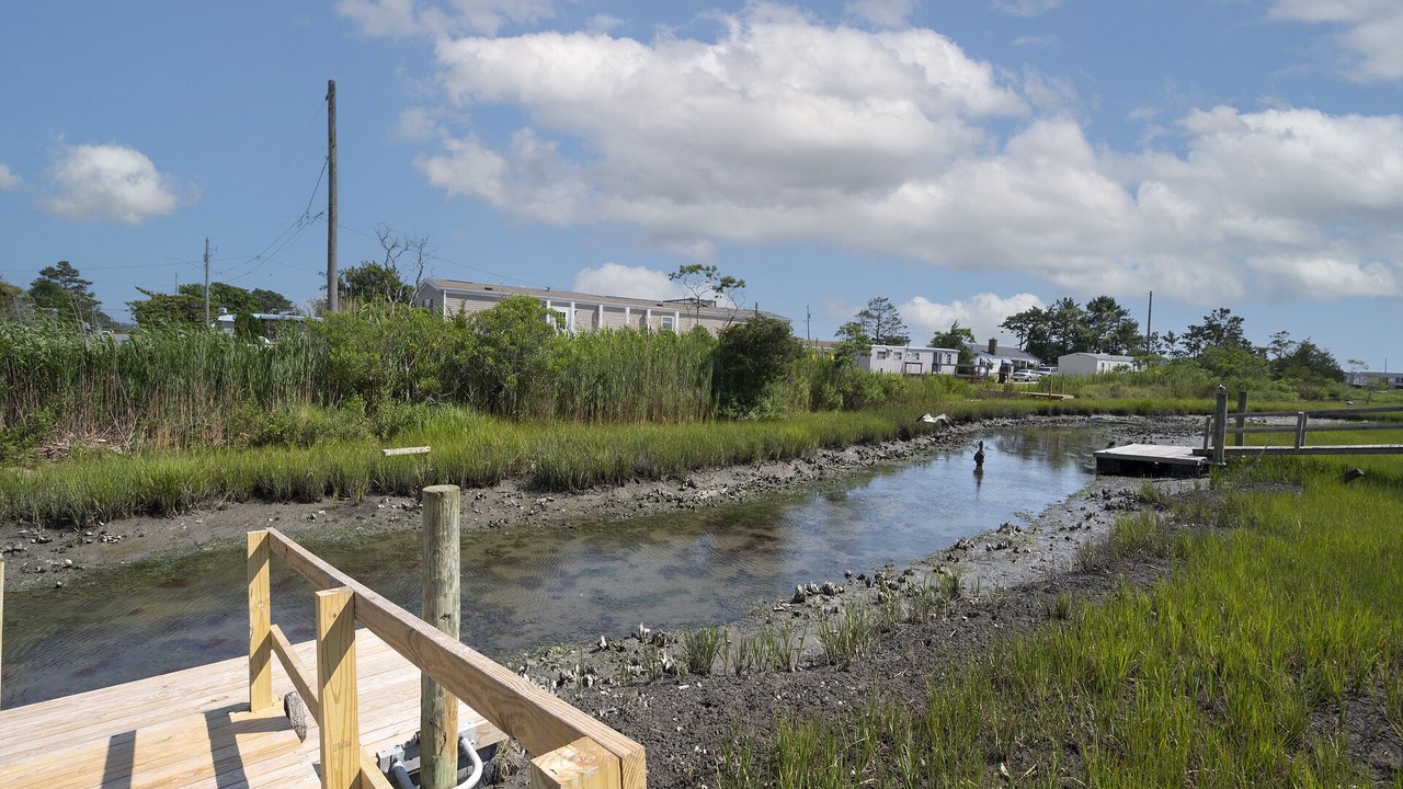 Photo of Outdoor in Chincoteague