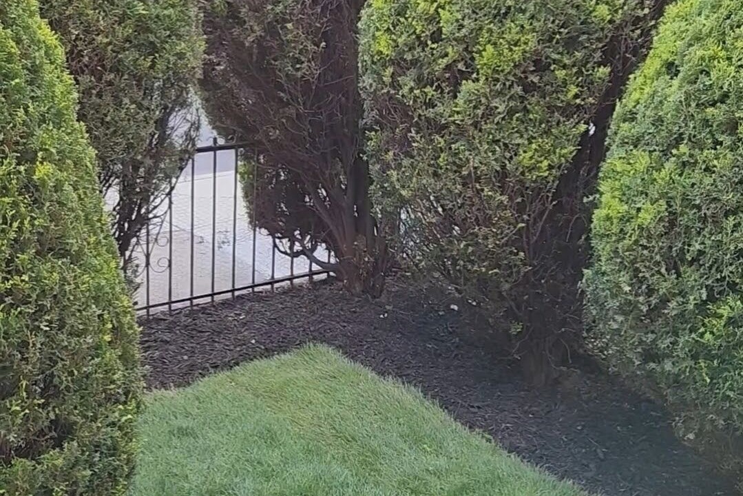 Photo of Outdoor in East Flatbush