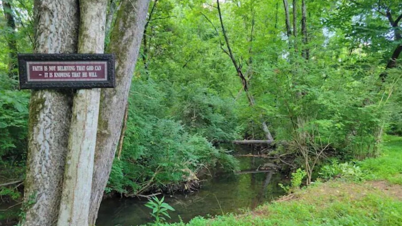 Photo of Outdoor in Oak Ridge
